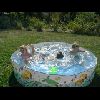 pool4.jpg